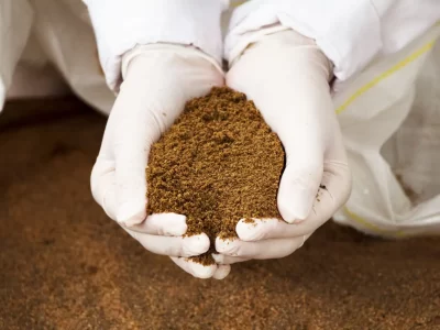 001_102_IMG_17AAF007_Insects_Image1-scaled